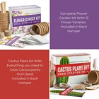 Bonsai Christmas Gift Garden Tools Tree Chilli Grow Gardening Gifts Hamper Bonsai Kit With Gloves Soap Mug