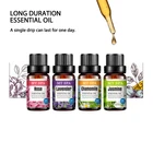 Oil Essential Aromatherapy Oil Essential Oil 3 10ml Set OEM Bottle Liquid Origin Type Perfume Oil Supply ODM
