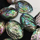 Abalone Shell Factory Direct Sale Size Is About 40x50mm Natural Abalone Shell DIY Jewelry Accessories