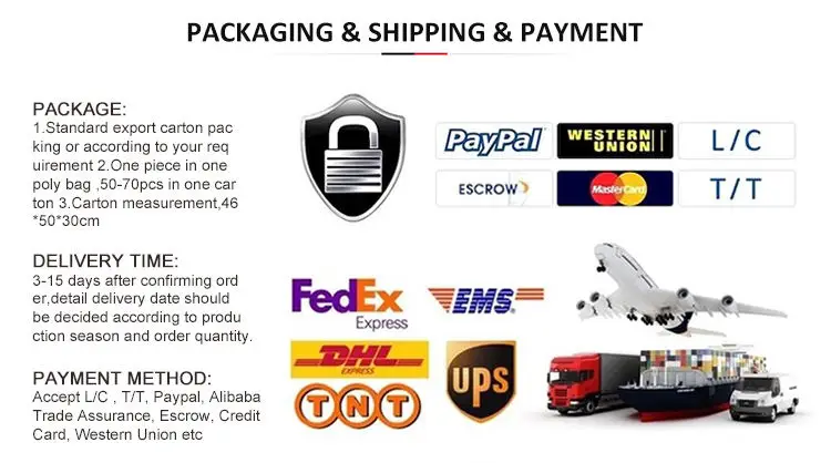 Packing & Shipping.jpg