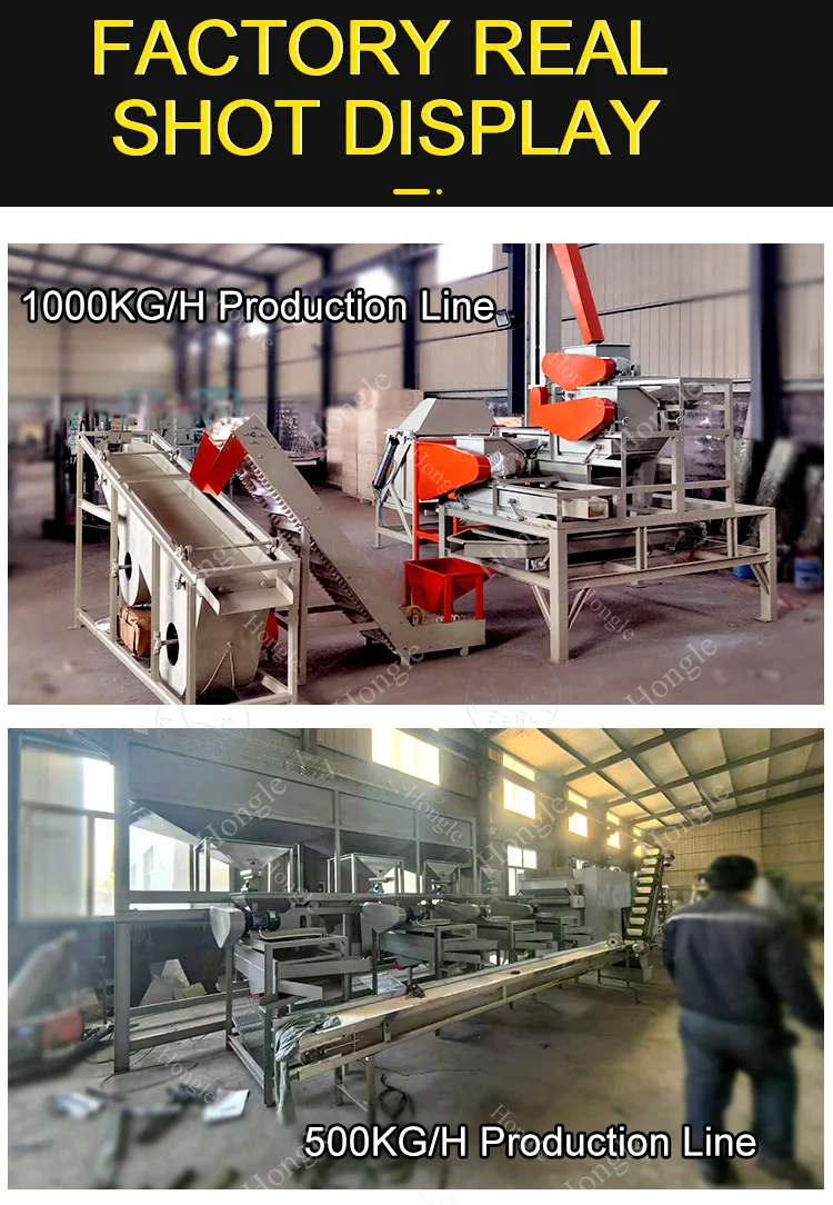 Manufacturer Hazelnut Almond Hulling Peeling Machine Macadamia Cashew Pecan Nut Plam Kernel Shelling Machine supplier