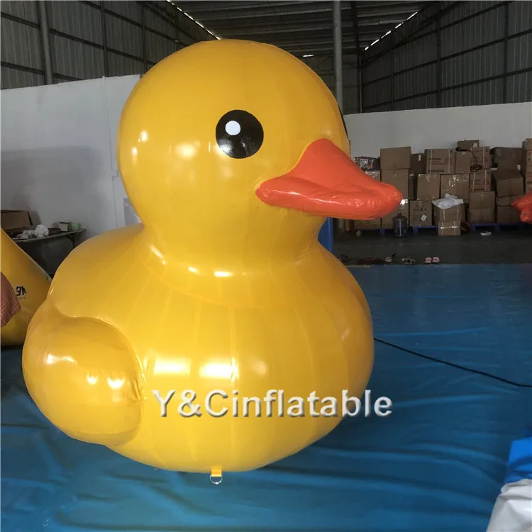 10m inflatable duck.jpg