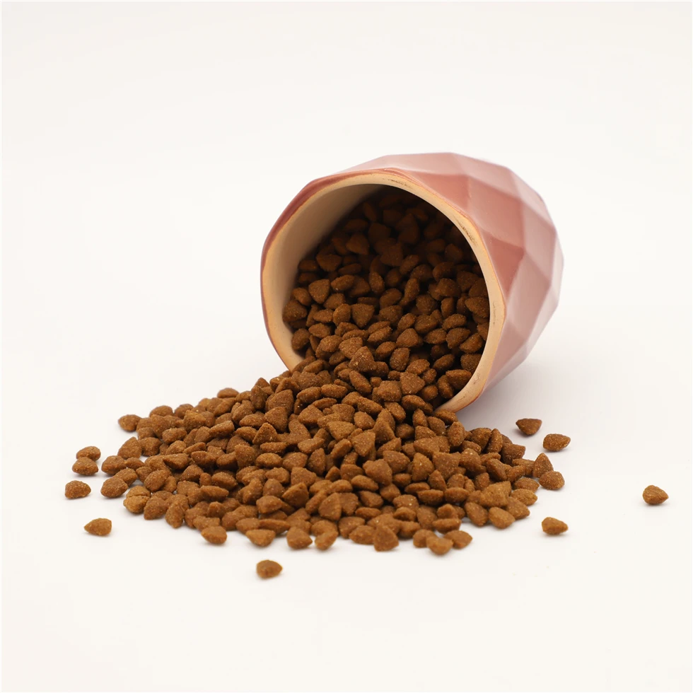 What Dog Food Is Easiest To Digest