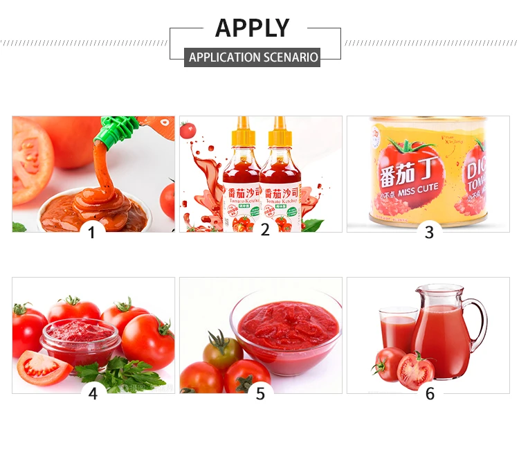 A29 Small Concentrate Tomato Paste Ketchup Making Packing Machine Production Line Tomato Sauce Processing Line factory