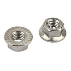 Professional Manufacturer A4 -70/80 SS316 DIN 6923 Hex Flange Nut