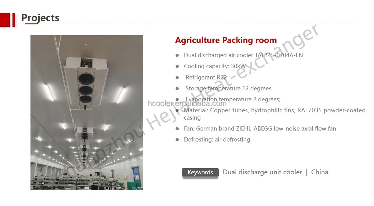 Mounted Dual Discharge Evaporator, Ceiling - detail 6
