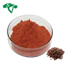 Hot Sale Nutritious Supplements Natural Grape Fruit Seed Extract Procyanidins