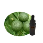 Essential Hot Selling Good Quality Solvent Extraction Difuser Pure Essential Oil Bulk