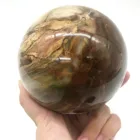 Wood Gemstone Gemstone Decor Natural Petrified Wood Ball Quartz Crystal Gemstone Sphere Decoration For Sale
