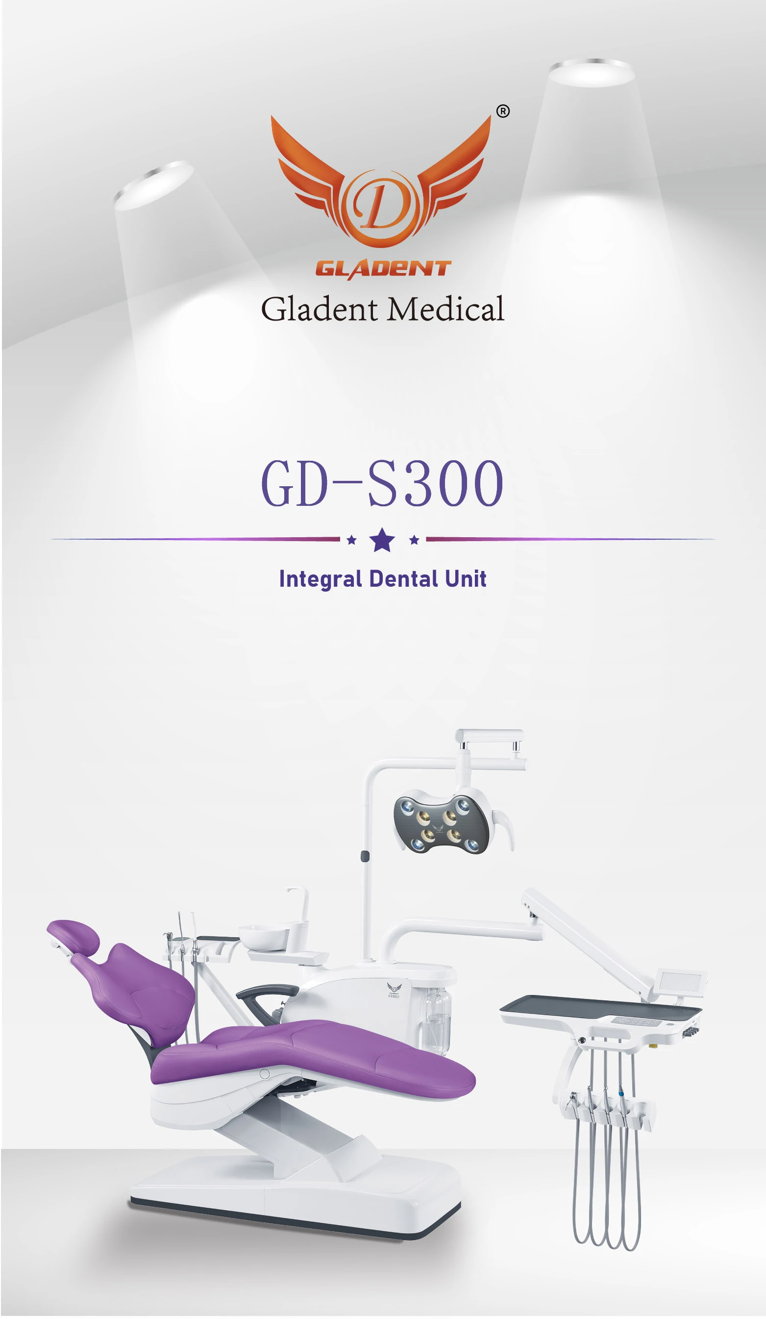 GD-S300 (1)