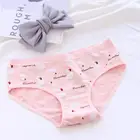 Mid Waist Women's Cotton Underwear Women Panties Cute Ladies Briefs With Pattern Of Flamingo