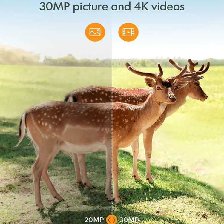 4k-trail-camera-8