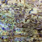 Shell Mother Of Pearl Shiny Painted Surface Flexible Flat Double-Sided Adhesive Shell Veneer Sheet