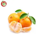 Mandarin Nanfeng Mandarin Orange/soft Taste Orange/sweet Mandarin