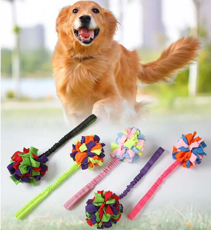 New Arrival Interactive Snuffle Puzzle Pet Ball Outdoor Training Dog Chew Toy