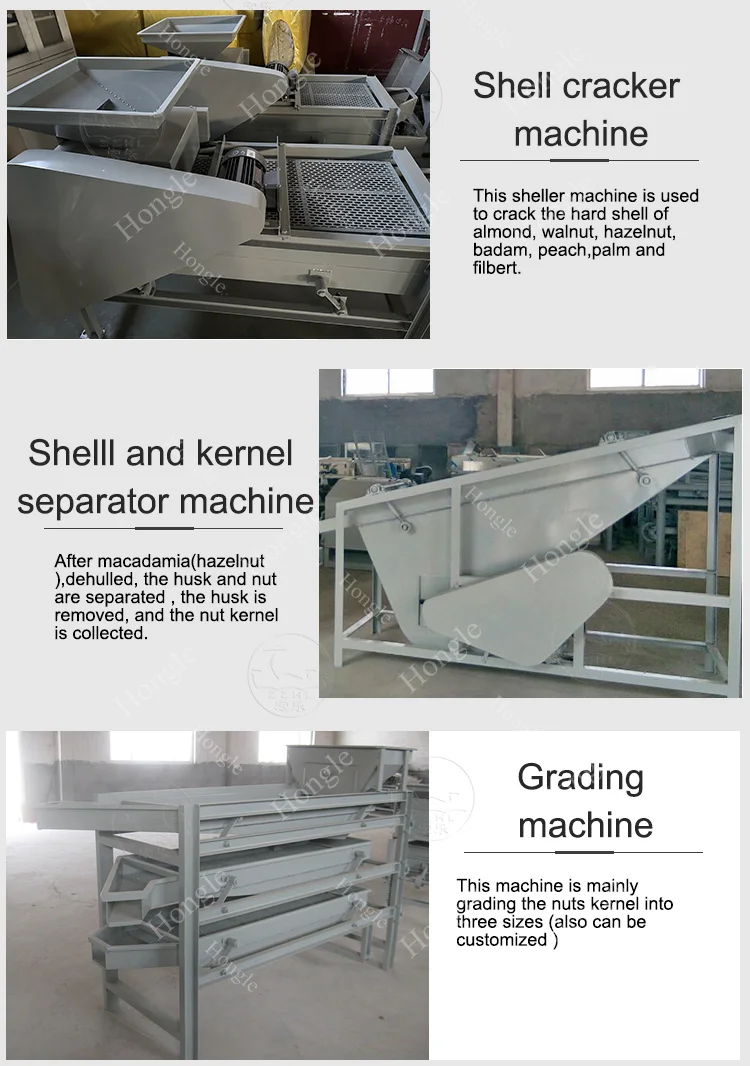 Manufacturer Hazelnut Almond Hulling Peeling Machine Macadamia Cashew Pecan Nut Plam Kernel Shelling Machine supplier