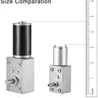 Micro Motor High Torque Small Hollow Shaft 12V 24V Dc Micro Electric 5Rpm Drive Worm Gear Motor For Winch