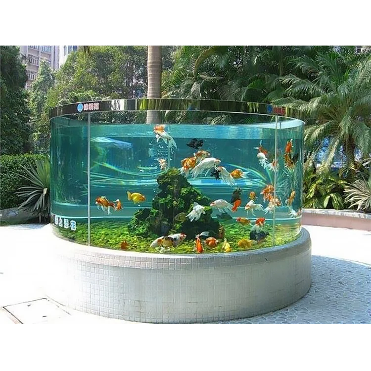 aquarium arwana outdoor