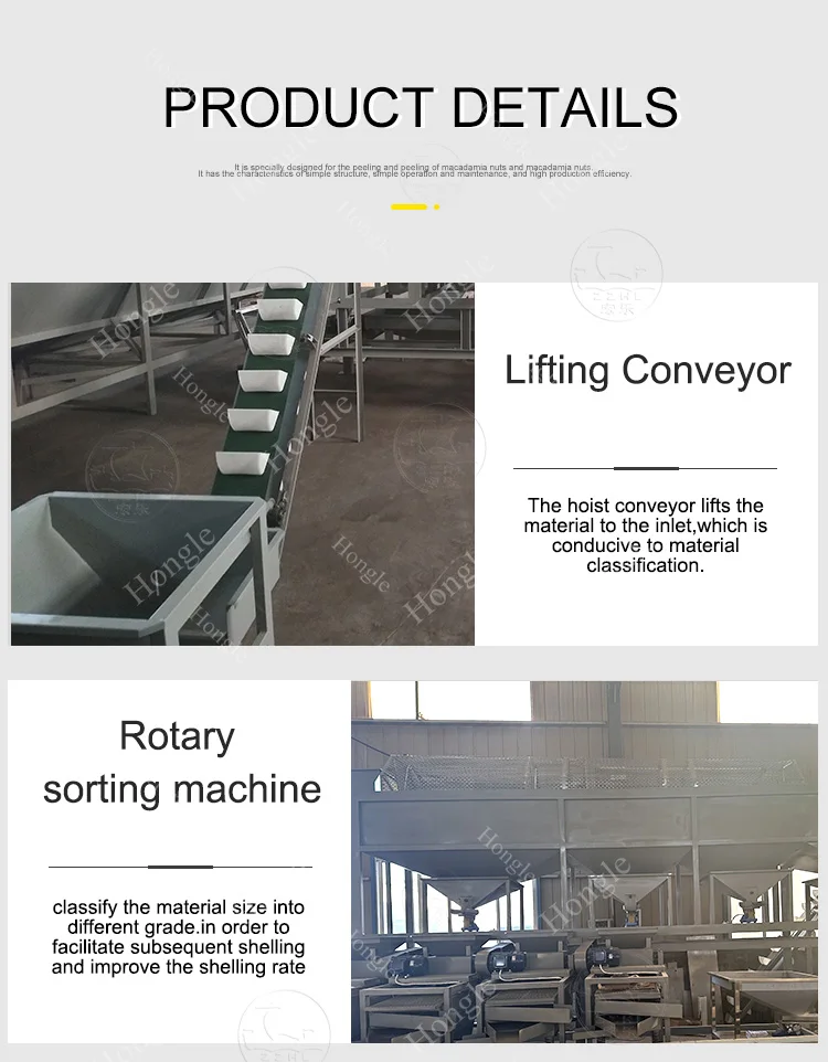 Manufacturer Hazelnut Almond Hulling Peeling Machine Macadamia Cashew Pecan Nut Plam Kernel Shelling Machine manufacture