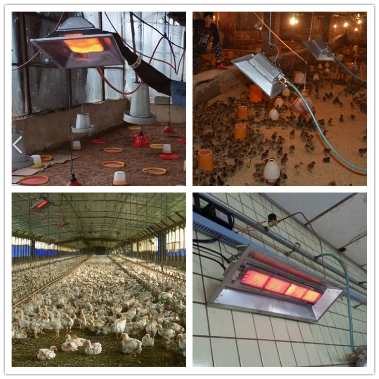 Infrared Gas Brooder Heater - detail 8