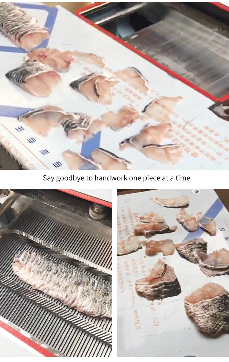 Automatic Sashimi Slicing Machine Fresh Meat & Fish Fillet Cutter Salmon Slices & Salmon Fillet Cutting Machine details