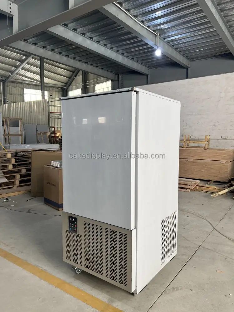 -40 Temp Blast Chiller, Stainless, Steel - detail 26