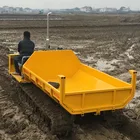 Tracked Vehicle 4 Ton Loading Crawler Dumper Track Vehicle