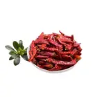 Chili Pepper Hybrid Dried Red Single Spices Extra Hot Chili Pepper
