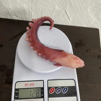 High quality squid tentacle frozen wholesale