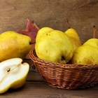 Fresh Pear Pears Pearfresh Fresh Yellow Pear For Sale Fresh Fruits Pears Quality Pears