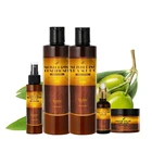 250ml Shampoo 250ml Shampoo Shampoo Private Label 250ML High Quality Argan Oil Shampoo Morocco