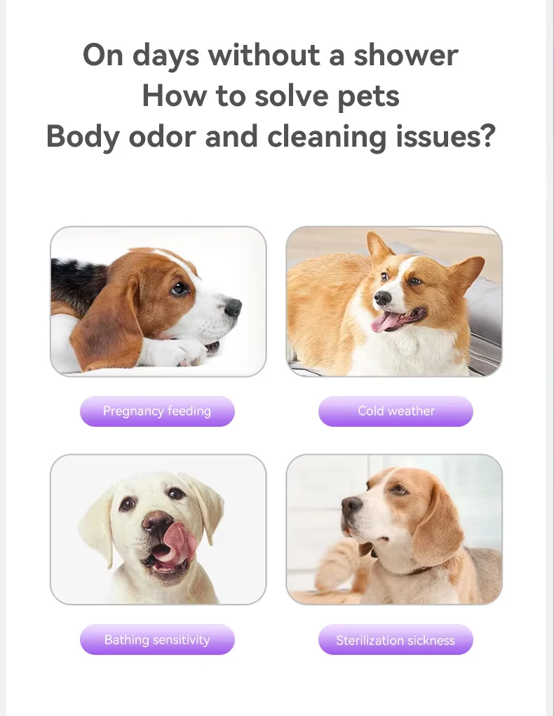 Customized No-bath Gloves for Cats and Dogs Disposable Deodorizing Pet Cleaning and Beauty Products Pet Products manufacture