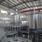 Production Line Machine Factory Manufacture Various Watermelon Production Line Juice Hot Filling Machine