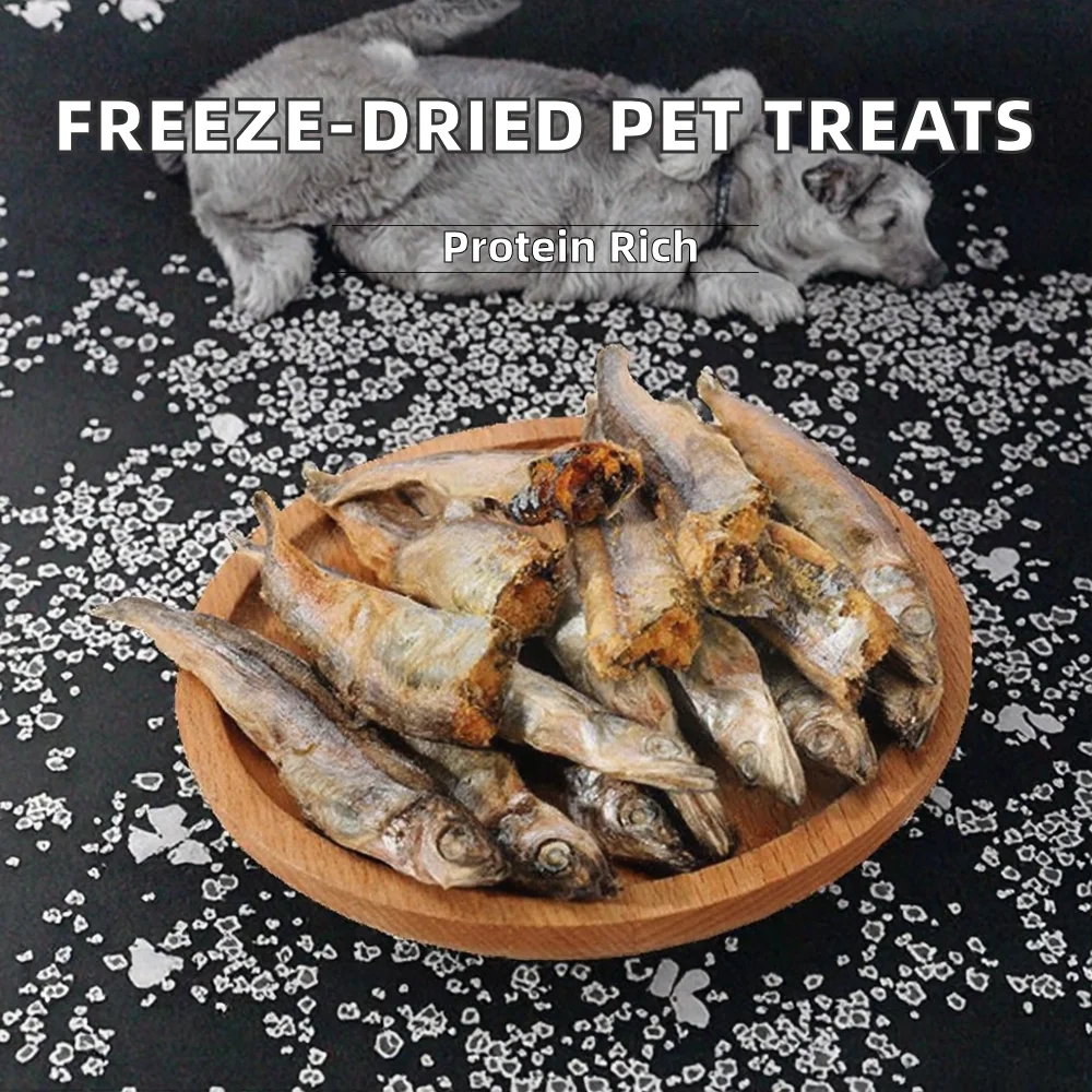 High Protein Freeze-Dried Salmon & Cod Pet Snacks Fish Treats for Cats Skin & Coat Health Eco-friendly Food factory