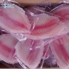 Fillet Tilapia Oreochromis Niloticus Fish Fillet IQF Tilapia Frozen Tilapia Fillet