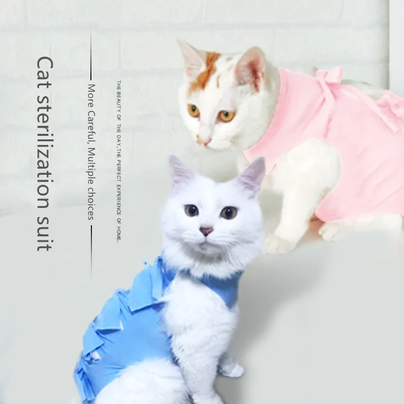 female cat clothes