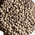Cardamom Cardamom Factory Supply Nutmeg/ High Quality Dried Natural Cardamom
