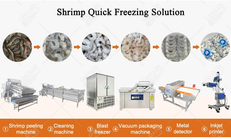Blast Freezer, 220 V, 5KW - detail 8
