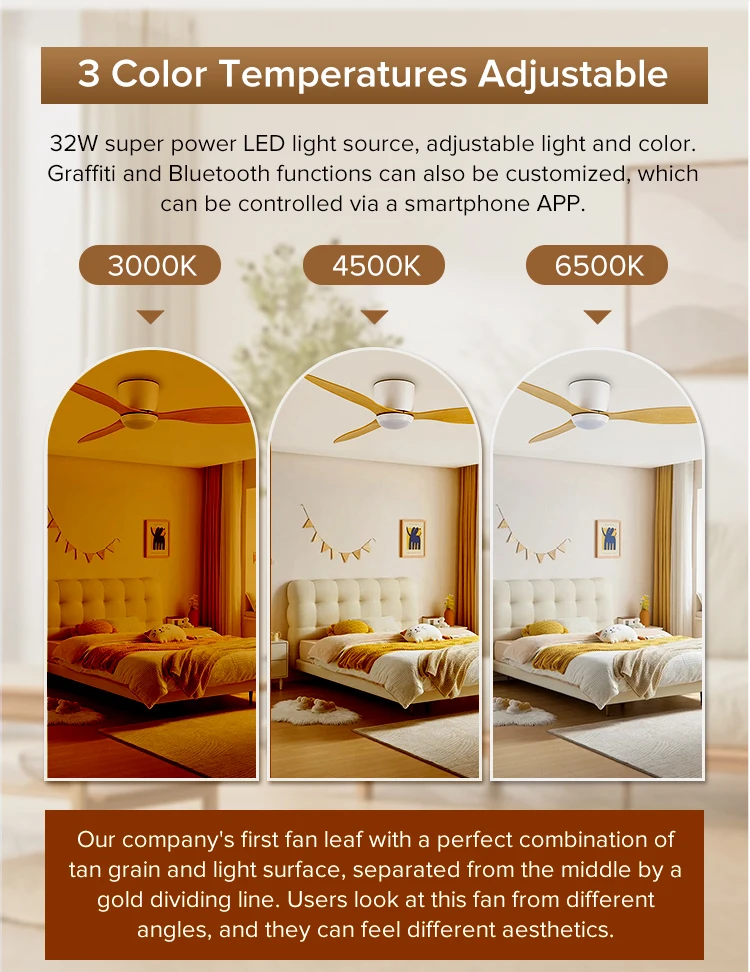 Control Led Ceiling Fan, JS-3038D - detail 8