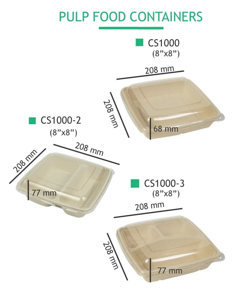 Square Plastic Disposable 6 Inch Food Packaging Container For take out