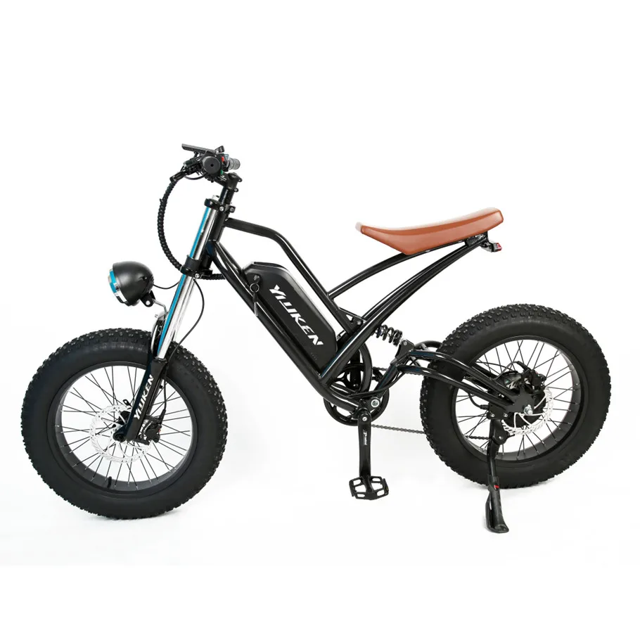 fat tire electric dirt bike