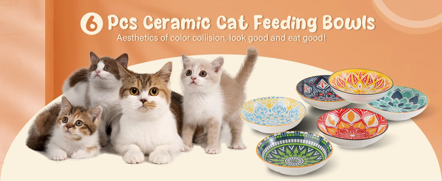Colorful Cat Bowl Set