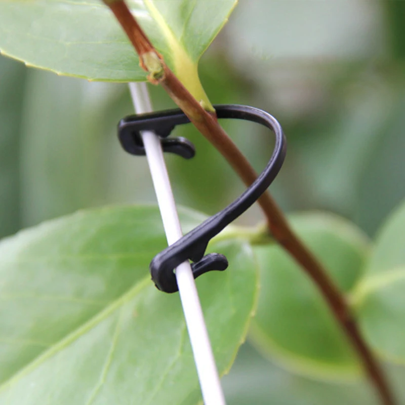 WHY296 Garden Plastic Plant Clip Fixotar Plants Twine Clips Connects Reusable Protection Grafting Fixing Tool Shade Net Hook
