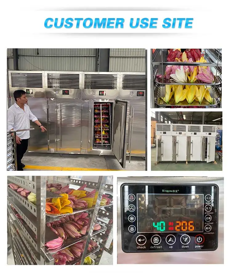 Belt Iqf Tunnel Freezer, AICN, high efficiency - detail 10