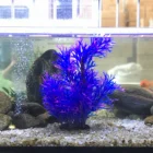 Coral Large Aquarium Ornaments 45-50cm Aquarium Decoration Coral Plastic Purple Coral
