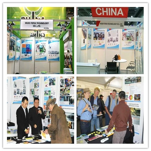 ET960 IP67-Rated Smart Temperature-Measuring Electronic Ear Tag with 2 Years Warranty for Livestock Tracking