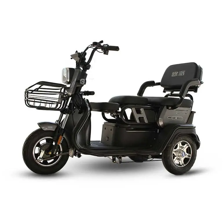 Hot Sale Trike Bike Motorcycle 60v 500w 