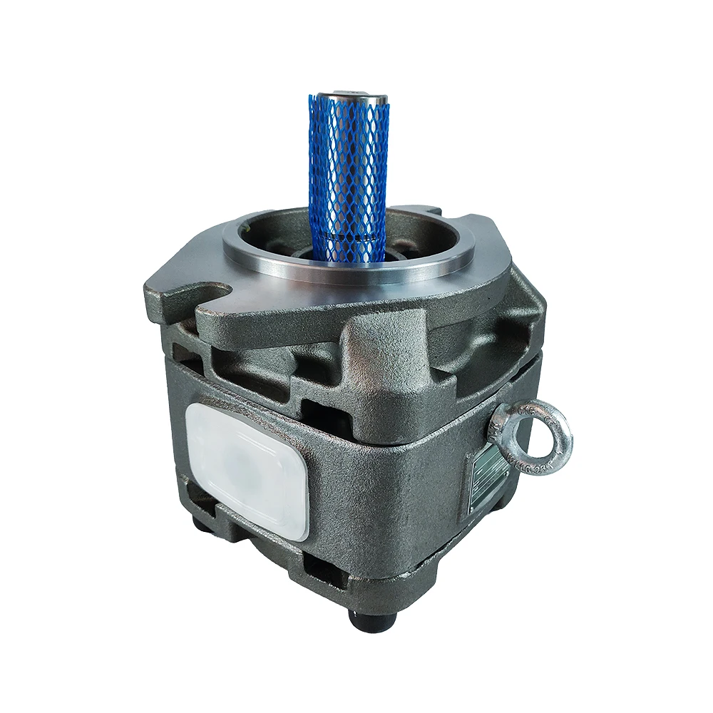 servo driven <a href='https://www.ruidapetroleum.com/product/47'>hydraulic</a> <a href='https://www.ruidapetroleum.com/product/49'>pump</a> manufacturer