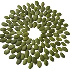 Shine Skin Retail And Wholesale Big Size Plump Shine Skin Pumpkin Seeds Kernels