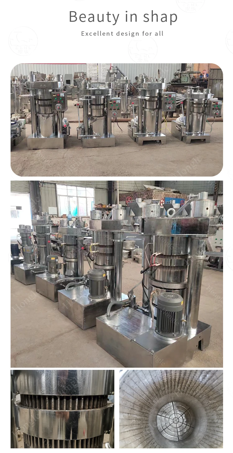 Hydraulic Olive Oil Press Machine Commercial Cocoa Butter Oil Extraction Machine Walnut Oil Expeller Equipment manufacture
